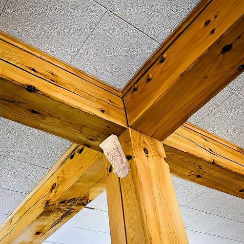 Gadpiparty Corbeaux Décoratifs en Bois 2 Pièces Moulure d'angle en Bois Décoration De Salon De Maison - Nail Gallerys