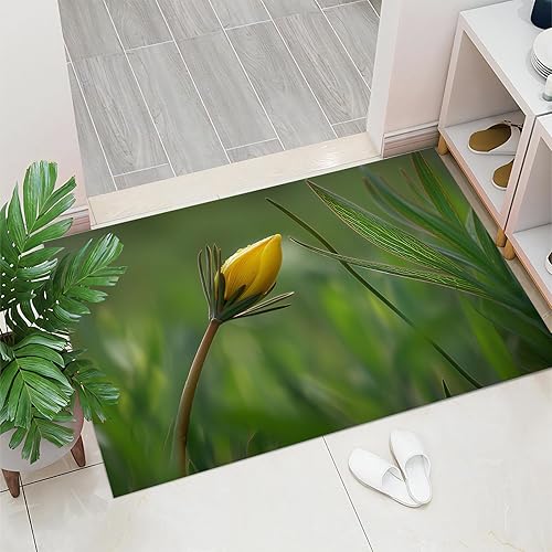 MULERN Tapis d Entree Interieur, Géométrie Paillasson Antidérapant, Sarcelle Paillasson Intérieur Ou Extérieur, Patron De Polygone Herbe, Tapis De Porte Rectangulaire, 60x90cm - Nail Gallerys