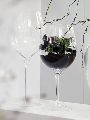 innaGLAS INNA-Glas Verre à vin XXL Roger, Transparent, 50cm, Ø17cm/Ø23cm - Bougeoir/Verre décoratif - Nail Gallerys