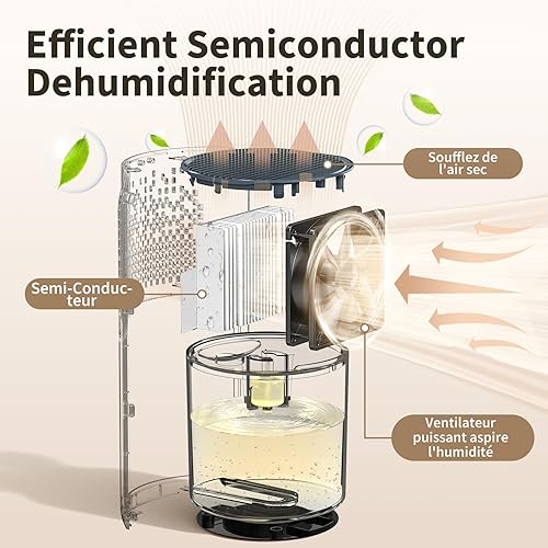 OMISOON Deshumidificateur d air 1200ml, Déshumidificateur Electrique avec éclairage LED 7 couleurs, Dégivrage Automatique, Silencieux, Portable Compact Déshumidificateur pour la Maison, Chambre, Bain - Nail Gallerys