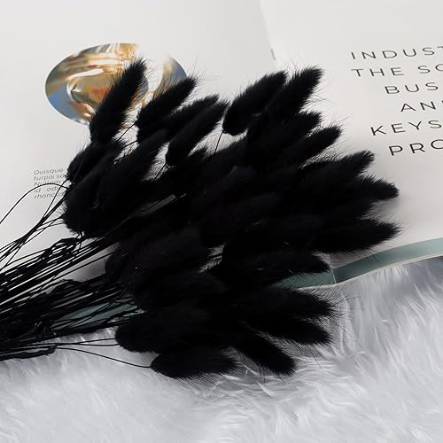 FENGCHUANG Herbe de Queue de Lapin Séchée, Herbe De La Pampa Fleurs Séchées, 50 Pcs Ne Se Fanent Jamais Fleur Sechees pour Décoration de Maison, Mariage (Noir) - Nail Gallerys