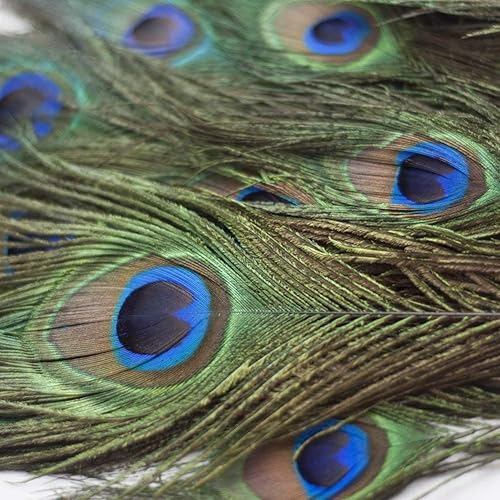 100pcs Plumes Naturelles de Paon avec des Yeux de Plumes de Queue de Paon 10-12 Pouce (25-30cm) pour la Fête de Mariage Arts and Crafts Home Decorations - Nail Gallerys