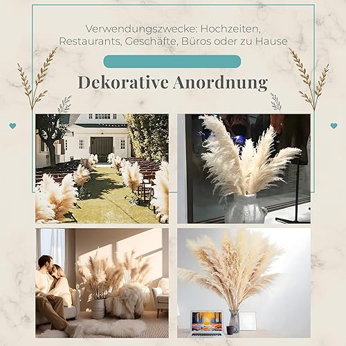 Sunnytree Herbe de la Pampa Décorative - Lot de 5 Tiges 115 cm - Plumes Longues Séchées pour Salon et Événements - Nail Gallerys