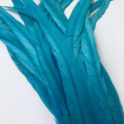 Sowder Coque Queue de coq plumes 16–45,7 cm réalisés par lot de 20 turquoise - Nail Gallerys