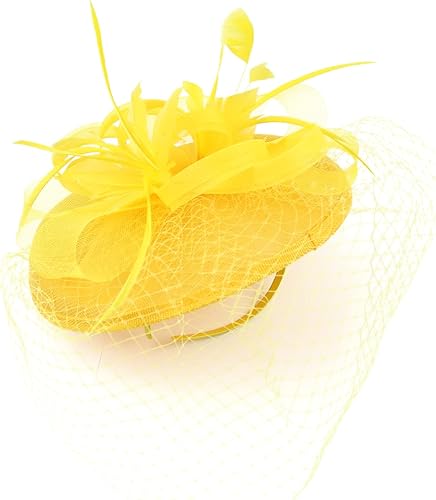 SJTJSPX Vintage Fascinator Women Veil Pillbox Hat Wedding Ascot Hats Flower Ribbons Feathers Headband Cocktail Tea Party Birdcage Mesh Hen Party Barrettes Hat 1950s Headwear for Ladies and Girls - Nail Gallerys