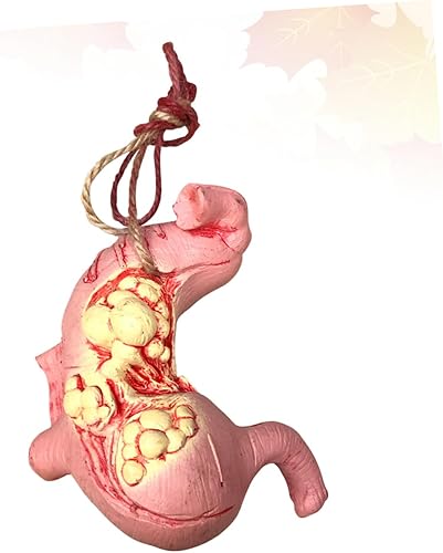 ULTECHNOVO Décorative Halloween Accessoire De Fausses Viscères Réaliste pour Décoration De Style Estomac pour Mur Porte Et Arbre - Nail Gallerys