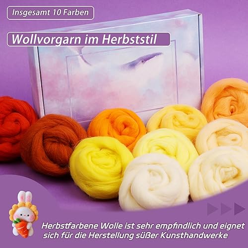 Deudy 10 couleurs, 15 g, laine vierge de conte de fées, pour feutrage, roving pour feutrage à l'aiguille, kit de démarrage, travaux manuels, créations (automne) - Nail Gallerys