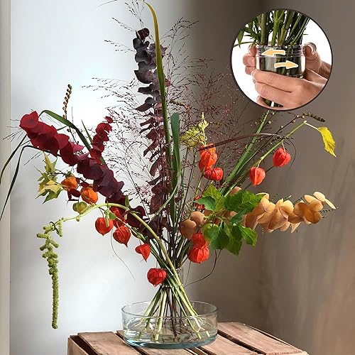 Lot de 2 supports de tige en spirale Ikebana pour fleurs, lot de 2 supports de tige en spirale pour bouquet Twister Hanataba, accessoire d'art floral à faire soi-même, grenouille (transparent, S + L) - Nail Gallerys