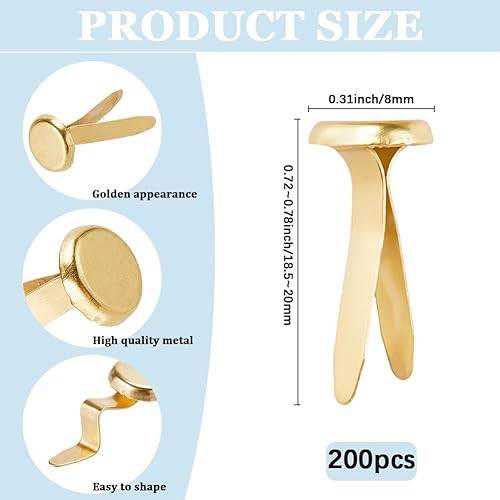 craspire 200 Attache Parisienne Ronde en Métal Platine de 20 x 8mm pour Scrapbooking Artisanat Projets Scolaires Cartes Décoratives en Papier Fournitures de Bricolage - Nail Gallerys