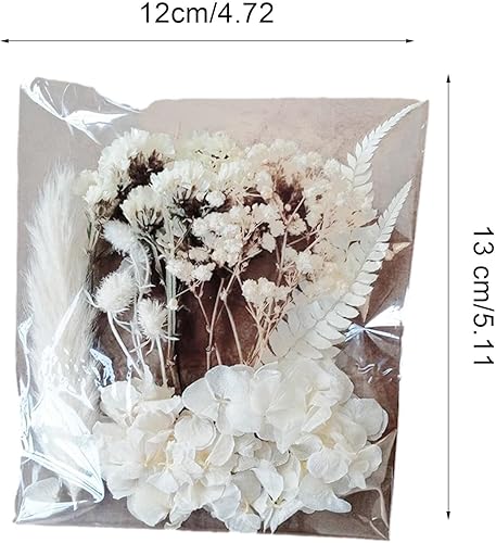 Fleurs séchées, kit de Bricolage de Feuilles de Fleurs Naturelles, Feuilles de Fleurs séchées Naturelles pour Scrapbooking, Cadre Photo, Artisanat, Fabrication de Bougies - Nail Gallerys