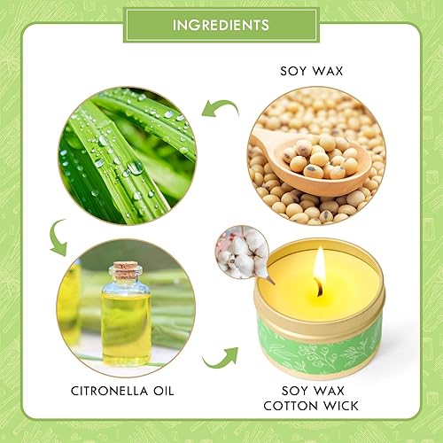 Bougies Citronnelles à la Cire de Soja Naturelle Bougies d'Intérieur et d'Extérieur Jardin Terrasse Pique-Nique Lot de 6 - Nail Gallerys
