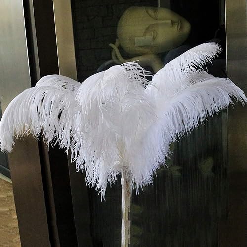 DCRWVCTON 20pcs Plumes Naturelles d'Autruche Plume 10-12inch (25-30cm) pour Les Centres de Mariage déCoration de La Maison (25-30cm,Blanc) - Nail Gallerys