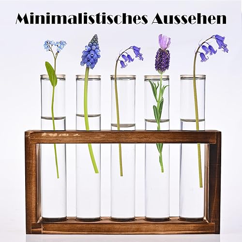Cieex Vase Decoratif Petits Vases en Tubes à Essai avec Support en Bois Vase Fleur pour Plantes Hydroponiques Decoration Maison pour Table Bureau Salon Cuisine - Nail Gallerys