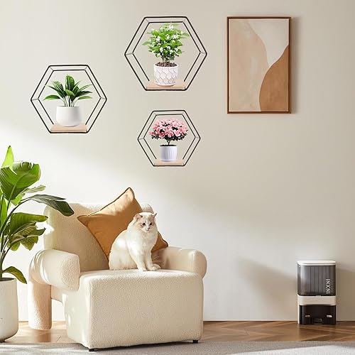 SHUESS Lot de 5 étagères murales hexagonales en métal noir pour décoration murale dans le salon, la chambre à coucher, la salle de bain, le café et l'hôtel - Nail Gallerys