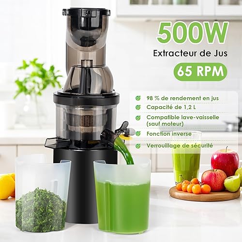 Gaethra Extracteur de Jus 550W, Cntrifugeuse Extracteur de Jus avec Fonction Inverse, Juicer Machine 100% Sans BPA, Ouverture de 82MM et Juicer Machine 1,2L, Compatible Lave-Vaisselle - Nail Gallerys