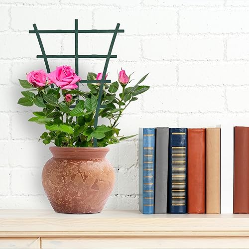 Relaxdays Tuteur à Plantes (d’intérieur et en Pot), en lot Pratique de 12, Plastique Robuste, H x L : 25 x 15 cm, Vert - Nail Gallerys