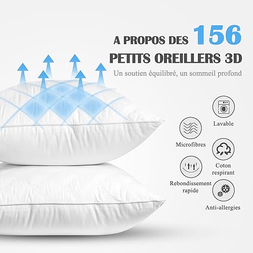 OOCMESS Oreiller 65x65 cm Lot de 2 Hotellerie Luxe, Antiallergique Anti Acarien d'oreiller Moelleux Microfibre Lavable, Ergonomique pour Dormeurs sur Le Dos Le Côté Le Ventre - Nail Gallerys