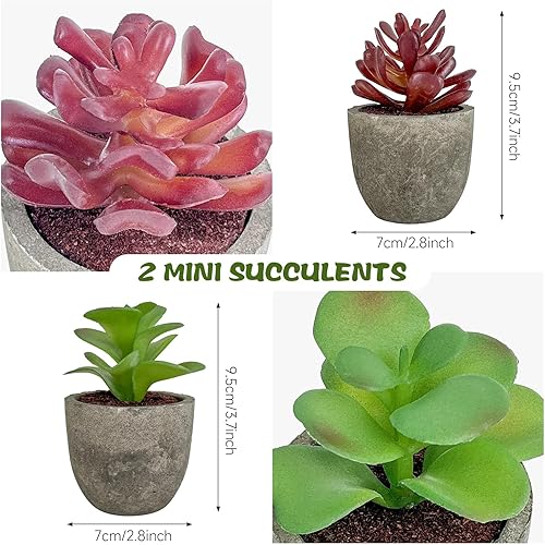 Jobary Set de 3 Plante Artificielle Interieur avec Pelouse Verte en Pots Gris, Plantes Petites Synthétiques Décoratives en Plastique, Idéales pour Décorer la Maison, Cuisine et Décoration Extérieure - Nail Gallerys