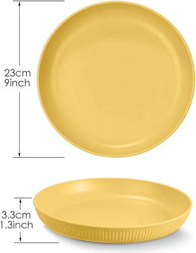 Taasmoog Lot de 6 grandes assiettes en plastique incassables de 22,9 cm de profondeur, passent au micro-ondes, pour salade, pâtes, fête, maison, bureau, micro-ondes - Nail Gallerys