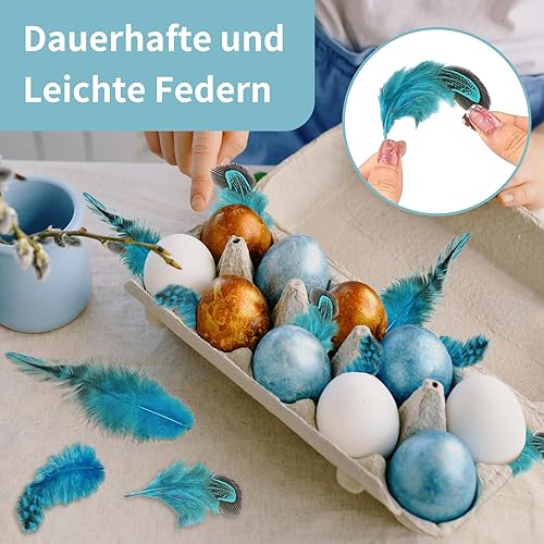 Molirex Lot de 160 plumes de faisan bleues pour le bricolage, huit styles de plumes naturelles pour attrape-rêves, boucles d'oreilles, masques, bijoux, œufs de Pâques, plumes de pintade - Nail Gallerys