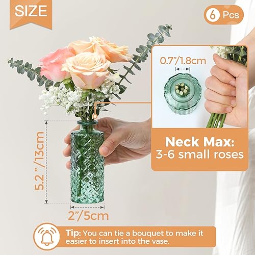 ComSaf Mini Vases en Verre, 6 Pièces Petits Vases à Fleurs Vintage pour Table à Manger, Decoratifs de Mariage, Décoration Vert - Nail Gallerys
