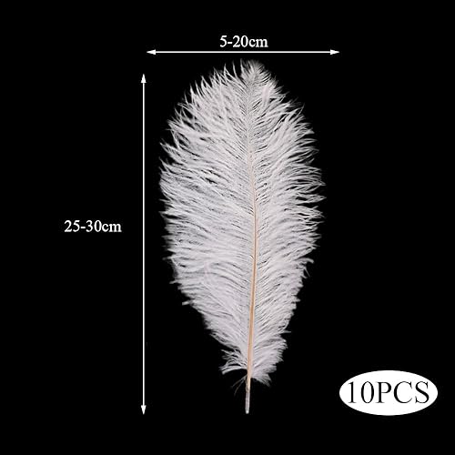Niaciswe Plumes d’Autruche 10 Pièces Plumes d'Autruche Naturels 25–30 cm Plume Décoration Plumes Blanc pour Maison Décoration Costumes Mariage Fête Décoration Embellissement - Nail Gallerys