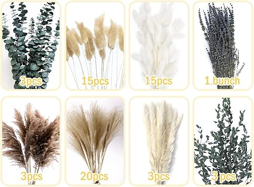 Anlising Pampa Séchées Naturelle Décoration, Décoration en Herbe de Pampa, Herbe de la Pampa, Herbe de Pampa Séchée, Queue de Lapin Fleur Séchée, pour Decoration Boheme, Décoration Maison - Nail Gallerys