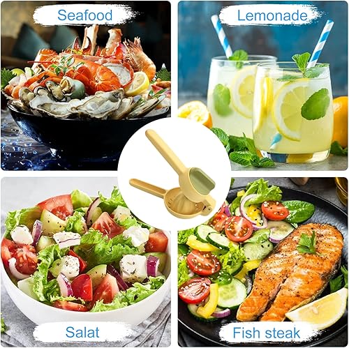 Presse-Citron Manuel Presse-agrumes Lemon Lime Juice Squeezer Presse Manuelle Presse-Agrumes Manuel Convient pour Citron Citron Citron Vert Orange - Nail Gallerys