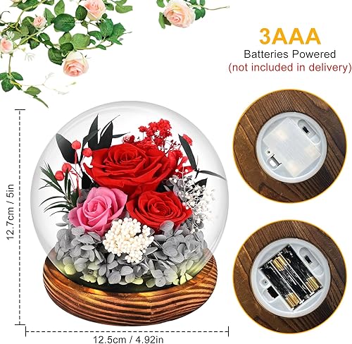 Roses Éternelles En Verre, Rose Éternelle, Cadeau d'Anniversaire, Cadeau Pour Maman, Petite Amie, Anniversaire, Anniversaire De Mariage, Pour Elle (Roses Rouges) - Nail Gallerys