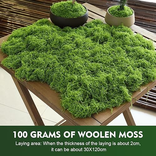 Ceihwa 100g Fausse Mousse Végétale Decorative Mousse Stabilisée Islande Mousse de Renne Préservée Mousse Artificielle Decoration Verte Mousse Séchée Mousse Naturelle Mousse Creche Noel-Couleur claire - Nail Gallerys