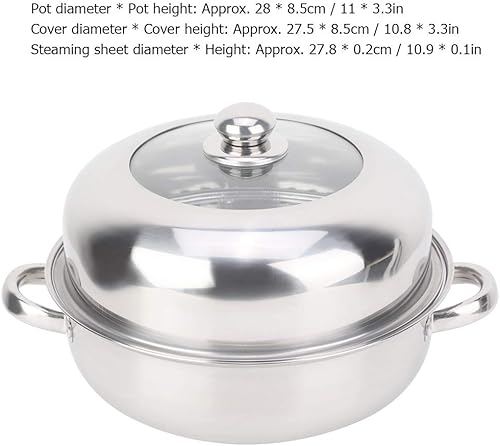 Tyenaza Pot à Vapeur, cuiseur à Vapeur Simple Couche de 28 cm, Insert à Vapeur en Acier Inoxydable ou passoire avec Couvercle, Grande marmite en métal pour la Cuisson des ustensiles de Cuisine - Nail Gallerys