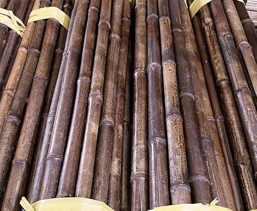 Tube de bambou 200 cm couleur caramel avec 5-6 cm de diamètre Traitement thermique dans un four en carbure – Tube de bambou foncé 2 m de long - Nail Gallerys