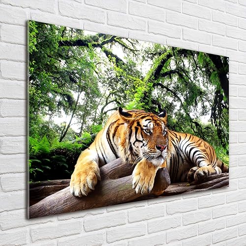 Tulup Impression sur Verre de 100x70 cm Image Tableau Photo décorative panoramique pour la Cuisine et Le Salon - Animaux - Tigre sur Le Rocher - Brun - Nail Gallerys