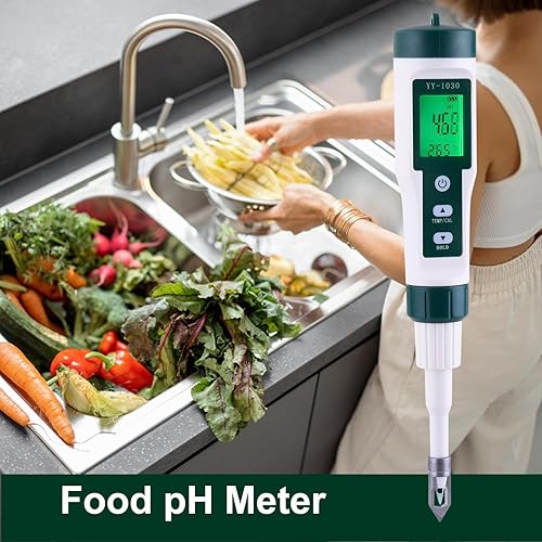 pH-mètre Alimentaire, testeur de pH numérique de Haute précision, testeur de pH Alimentaire, Moniteur de pH Portable pour l'eau, Les conserves, Le levain, Le, Les échantillons Solides et Le froma - Nail Gallerys