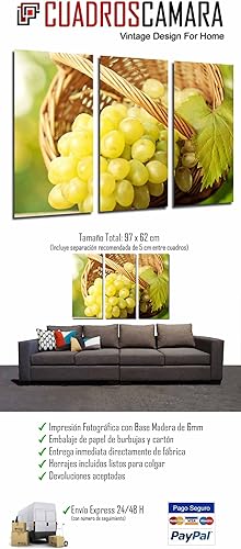 Cuadros Camara Tableau Moderne Photographique, Impression sur Bois, Grappe de Raisin Blanc, Muscat, 97 x 62 cm, ref. 26608 - Nail Gallerys