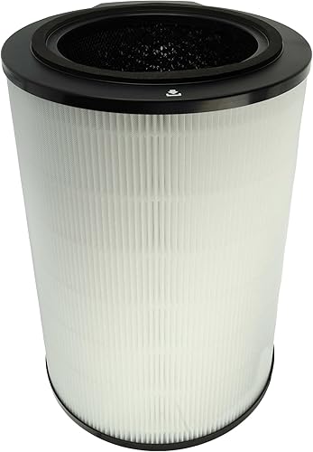 vhbw Filtre à air compatible avec Philips Series 4000i AC4236/10 purificateur d'air - Filtre combiné HEPA + charbon actif - Nail Gallerys