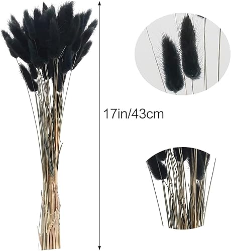 WYLFYJP Bouquet De 60 Fleurs Séchées Colorées, Vraies Fleurs Immortelles, Queue De Chien, Herbe, Queue De Lapin, Accessoires De Photographie Décoratifs - Nail Gallerys