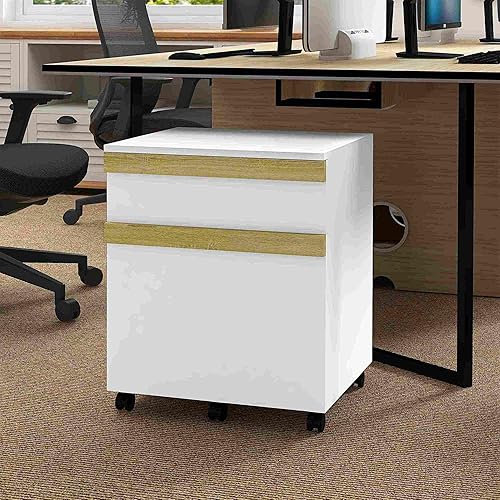 Vinsetto Caisson de Bureau à roulettes Meuble de Rangement Mobile avec 2 tiroirs coulissants trieur à dossiers 48 x 40 x 59,5 cm Blanc - Nail Gallerys