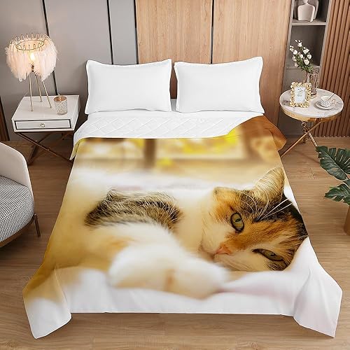 Highdi Couvre Lit Matelassé, Microfibre Dessus de Lit, Chaton Couvre-lit Poids Léger Couverture Lit, pour Couvre Lit 1 Personne Couverture Lit 2 Personnes (130x150cm,Chaton Mignon) - Nail Gallerys