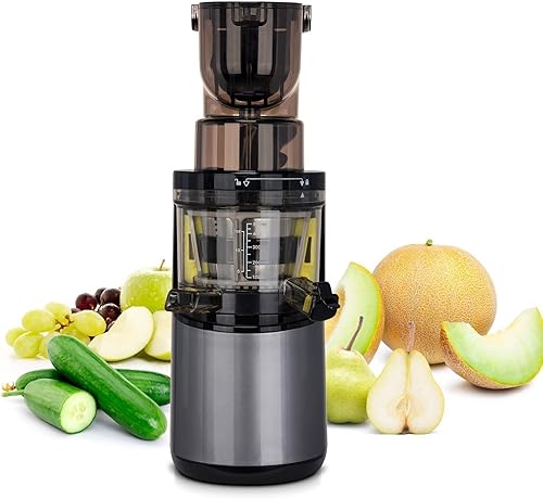 Extracteur de Jus BioChef Atlas Whole Slow Juicer PRO - Puissance maximale 400W / 40 tr/min, Grande Ouverture, Moteur très puissant (Argent) - Nail Gallerys