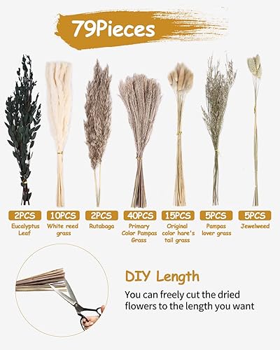 Jissta Pampas sechees Decoration,Ensemble de Fleurs séchées Naturelles 79 pièces,Eucalyptus seches Naturel,Fleurs séchées pour décoration bohème Salon Chambre à Coucher Mariage Bouquet - Nail Gallerys
