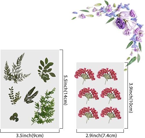 Fleurs Séchées Pressées Réelles Fleurs Feuilles Séchées Colorées Plusieurs Fleurs Séchées Naturelles pour DIY Fabrication Résine Époxy Artisanat Fait à Main Ongles Pendentif Bijoux - Nail Gallerys