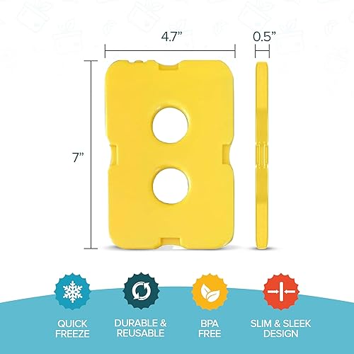 Lot de 4 Blocs réfrigérants pour boîte à déjeuner - Réfrigérante Originale - Fin et Durable - pour Votre déjeuner ou Sac Isotherme - Nail Gallerys