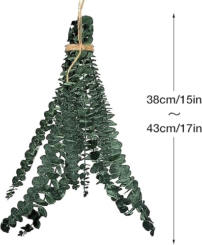 Tige Eucalyptus Séchées Naturel 43cm, 10 Pièces Fleurs Séchées Naturelles Tige d'eucalyptus, Bouquet Fleurs Séchées Eucalyptus pour Composition Florale, Vases, , Mariage, Décoration d'intérieur - Nail Gallerys