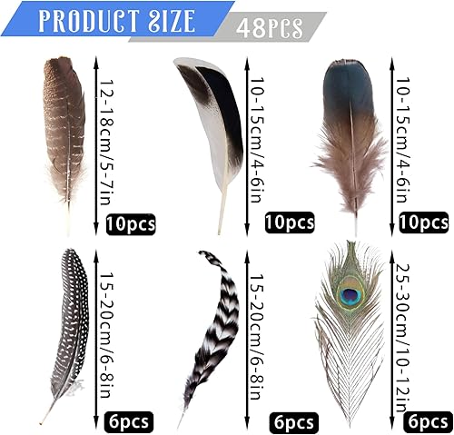 LUMOOM Lot de 48 plumes naturelles pour bricolage, chapeau de dinde, plumes de paon, attrape-rêves, boucles d'oreilles, costumes de carnaval, fête de mariage, masques de fête - Nail Gallerys