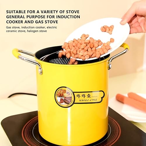 Poêle électrique Halogène, Mini Friteuse Japonaise en Acier Inoxydable de 3L avec Couvercle de Filtre à Huile pour la Cuisine de la Maison - Nail Gallerys
