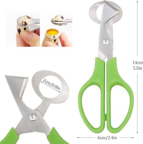 Ciseaux à Oeufs de Caille en Acier Inoxydable pour Couper les Coquilles D'Oeufs Ciseaux à Oeufs pour la Maison, le Restaurant et la Cuisine, Paquet de 10 - Nail Gallerys