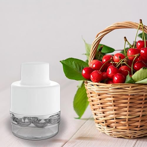 Dénoyauteur de cerises en acier inoxydable - Outil portable et robuste pour cuisine, gâteau, confiture, dessert, bonbons - Nail Gallerys
