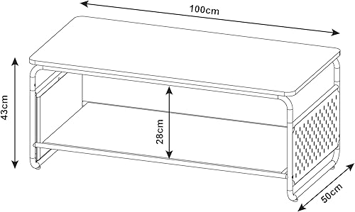 [en.casa] Table Basse Style Intemporel Table d'Appoint Design avec Surface de Rangement Acier Panneau de Particules Polyester 100 x 50 x 43 cm Blanc Effet Chêne Gris - Nail Gallerys