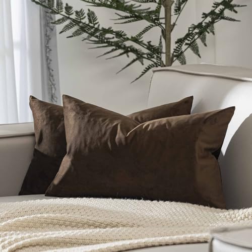 JUSPURBET Housse de Coussin en Velours Bleu Paon 40x60 cm Lot de 2 pour Salon Canapé Chambre à Coucher Décoratif Rectangulaire Doux avec Fermeture Éclair Invisible - Nail Gallerys